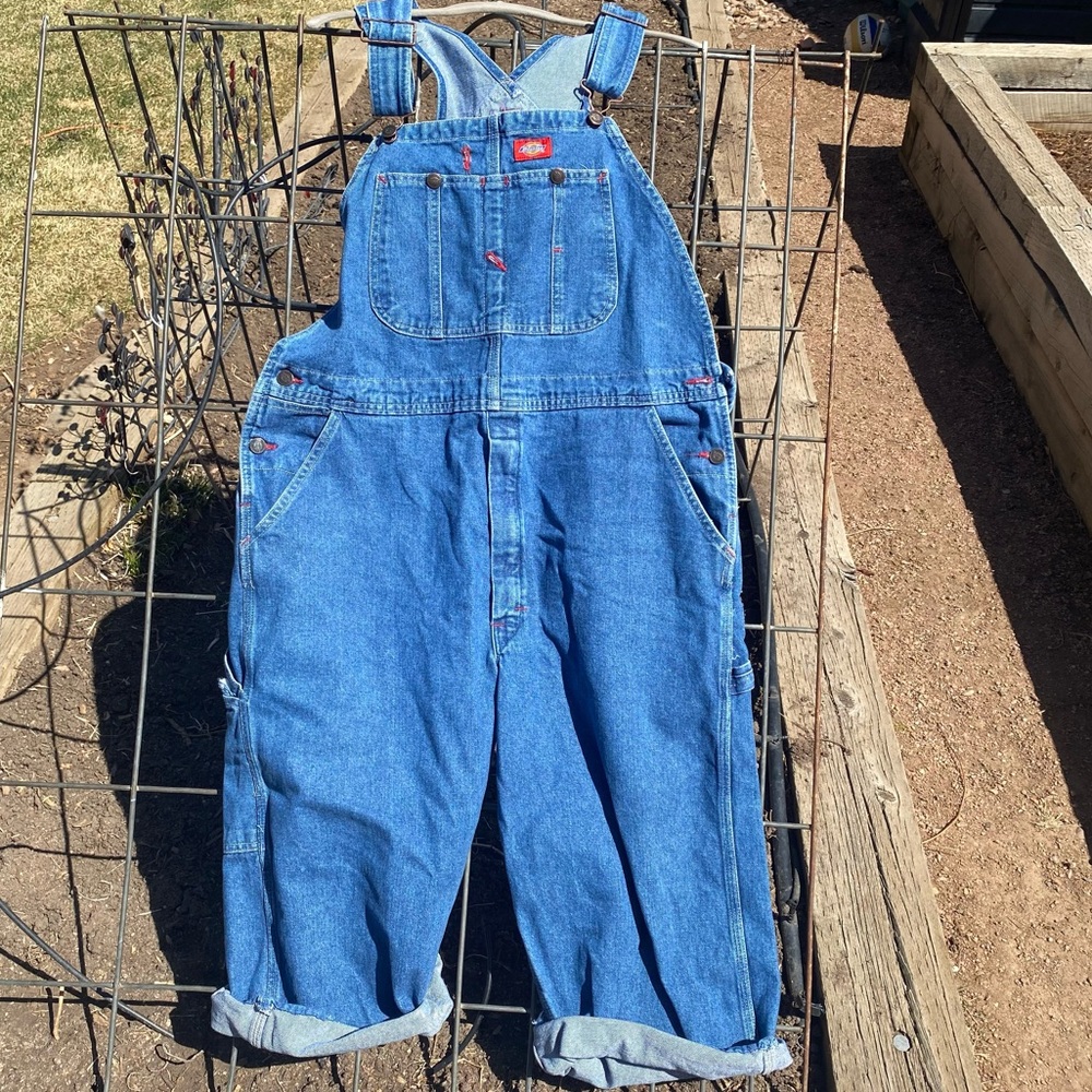 dickies overalls